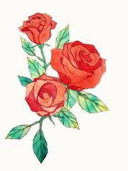 Hướng dẫn vẽ hoa hồng chỉ với 10 bước đơn giản