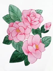Tips vẽ hoa trà vừa đẹp vừa dễ cho người mới bắt đầu