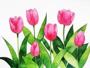 Cách vẽ hoa tulip dễ như ăn kẹo, cho người mới bắt đầu