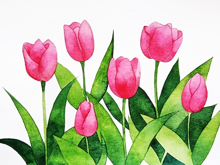 Cách vẽ hoa tulip đơn giản mà vẫn đẹp long lanh